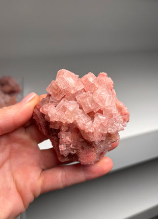 9 Piece Lot ! High Grade Pink Halite from Searles Lake, California