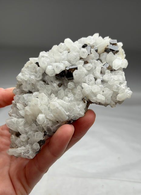 Cassiterite with Quartz from Bolivia Collection # 488