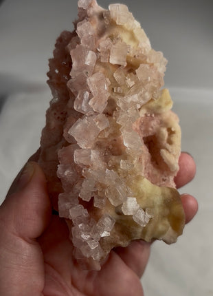 Rare ! Pink Green Bicolor Halite with Trona