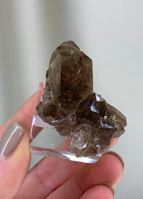 Smoky Quartz - From Mont Blanc, French Alps