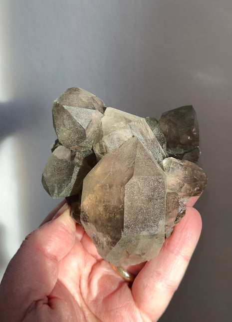 Alpine Smoky Quartz with Green Chlorite ! Wow