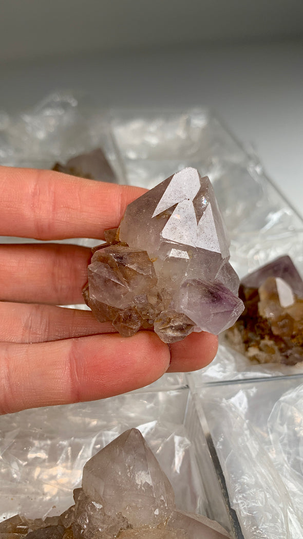 Wow ! Cactus Quartz Smoky Amethyst Clusters Lot From South African Republic - 9 Pieces !