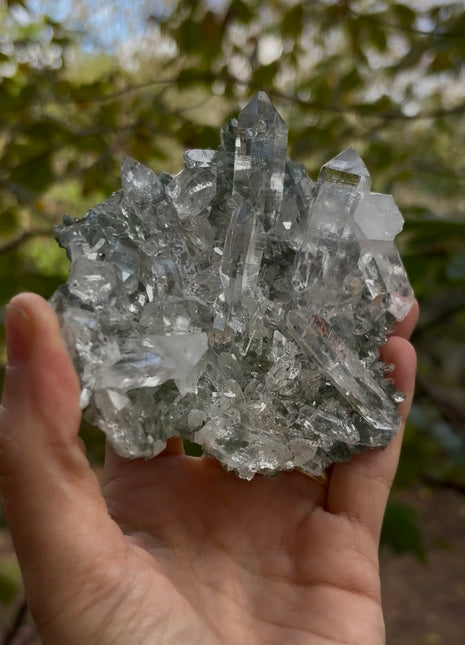 High Grade Himalayan Quartz 💎