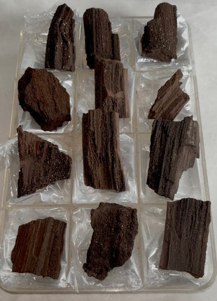 12 Pieces ! Permineralized Fossil Wood Fairy Wood Lot