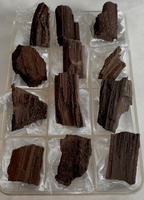 12 Pieces ! Permineralized Fossil Wood Fairy Wood Lot