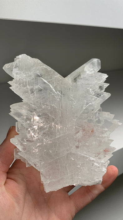 ❄️ Selenite Snowflake From Mexico
