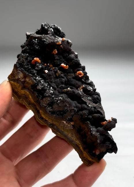 New Arrival ! Black Goethite with Red Vanadinite