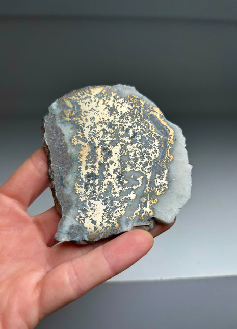 Rare ! Mohawkite with 12 Different Minerals