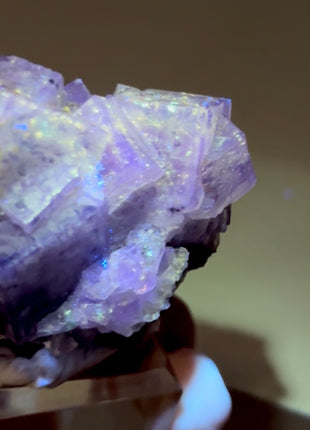 New Arrival ! Galaxy Fluorite