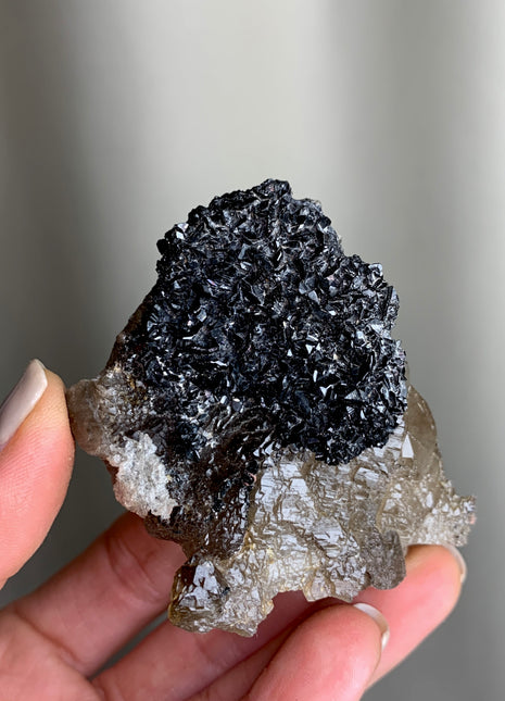 Amazing and Rare ! Cassiterite with Smoky Quartz - From Erongo, Namibia