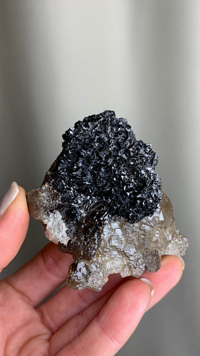 Amazing and Rare ! Cassiterite with Smoky Quartz - From Erongo, Namibia