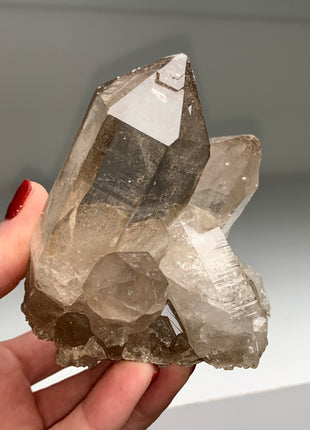 Smoky Quartz from Mont Blanc, France - Collection # 077