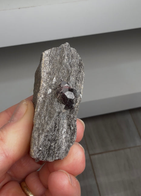 6 Pieces ! Red Garnet in Schist Lot from Wrangell Island