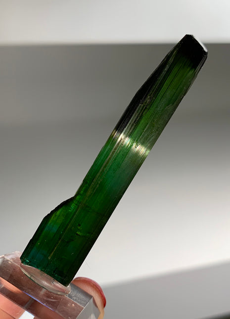 Indicolite Tourmaline from Brazil Collection # 047