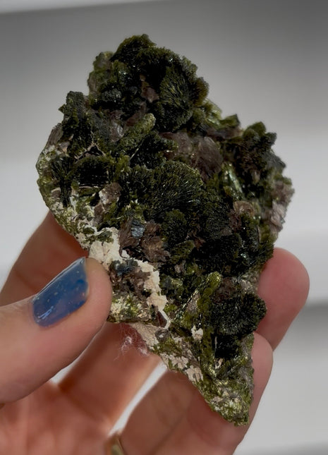 New ! Epidote Flowers with Axinite PM1566