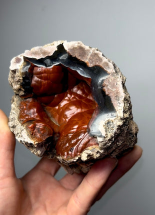 Red Crater Agate Geode