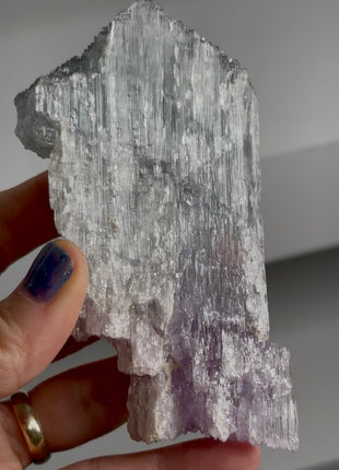 Blue Purple Bicolor Kunzite PM1593
