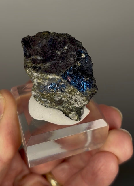 Rare Covellite from Montana Special Price 💥