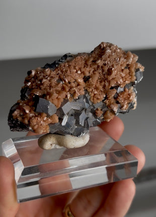 Pink Rhodocrosite with Metallic Galena - From Trepca mine