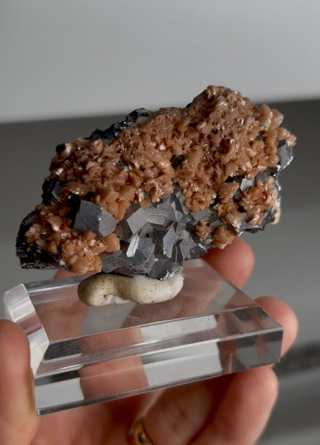 Pink Rhodocrosite with Metallic Galena - From Trepca mine