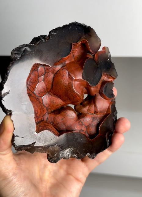 Red Fox Agate Geode from Argentina PM0828