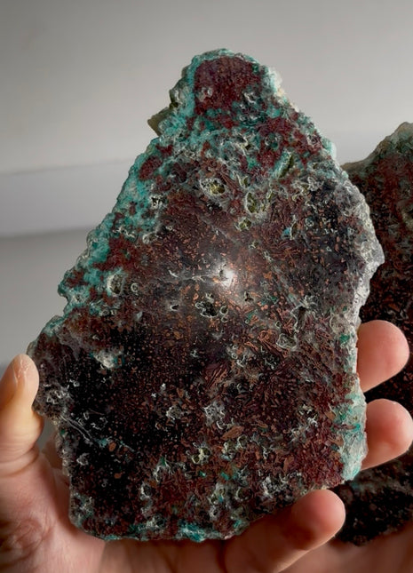 Stunning  ! Blue Chrysocolla with Native Copper Pair