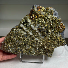 Collection image for: Pyrite with Quartz