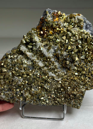 Incredible Pyrite with Quartz Collection # 361