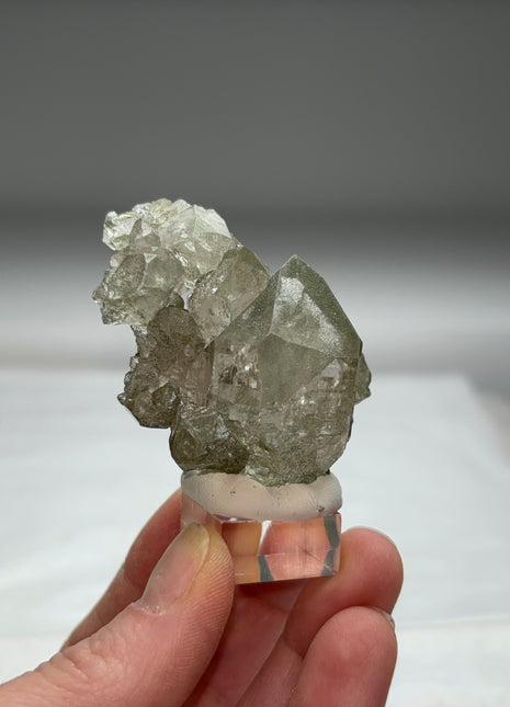 Green Chlorite Quartz - From Chamonix, French Alps