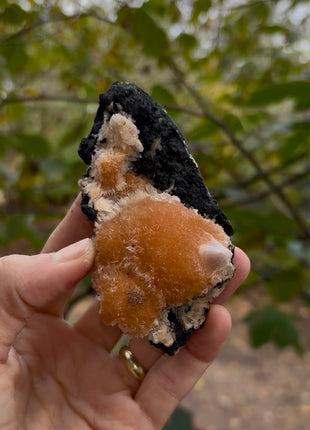 Bright Orange Thomsonite with Mesolite