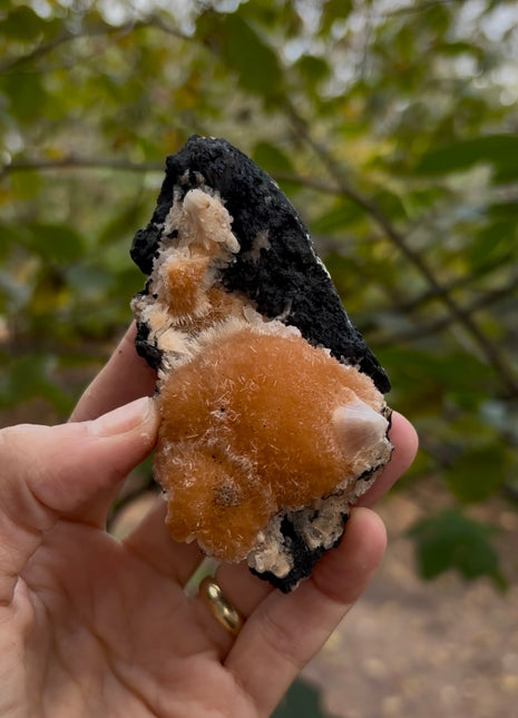 Bright Orange Thomsonite with Mesolite