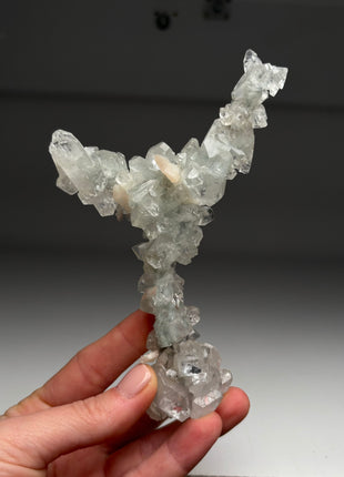 Y - Shape Apophyllite Stalactite !