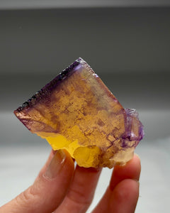 Collection image for: Private Collection