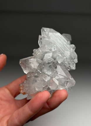 Top ! Gemmy Apophyllite with Flower with DT Crystals