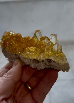 Finest 💎 Golden Honey Selenite Flower on White Halite