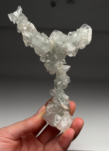 Y - Shape Apophyllite Stalactite !