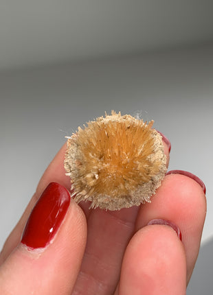 New Arrival ! Bursting Sun Aragonite Ball - From Pantoja, Spain