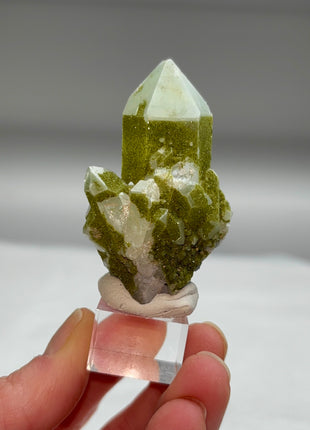 Rare ! Druzy Green Epidote with Quartz