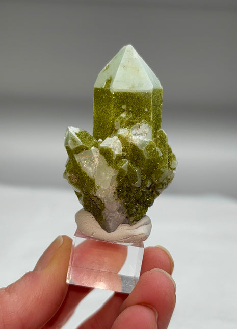 Rare ! Druzy Green Epidote with Quartz