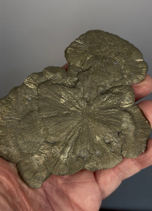 Pyrite Sun - From Sparta, Illinois