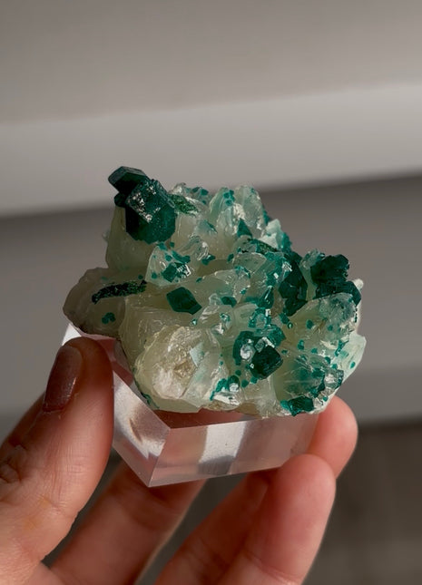 New find ! Green Dioptase with Calcite Collection # 706