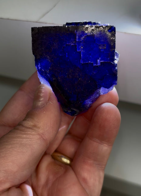Blurple Fluorite from Muzquiz, Mexico