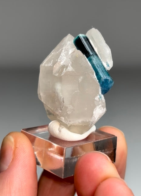 Blue Indicolite Tourmaline with Quartz
