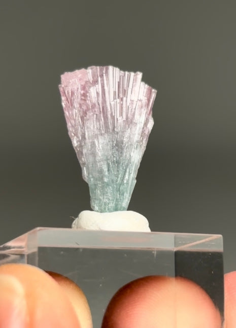 Pink Blue Bicolor Tourmaline Spray
