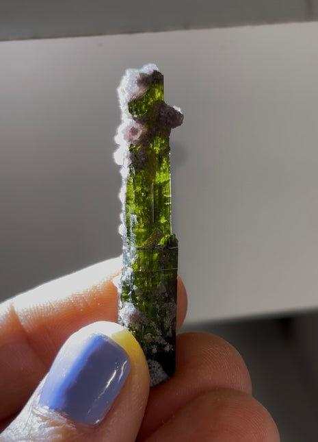 New ! Green Tourmaline with Lepidolite