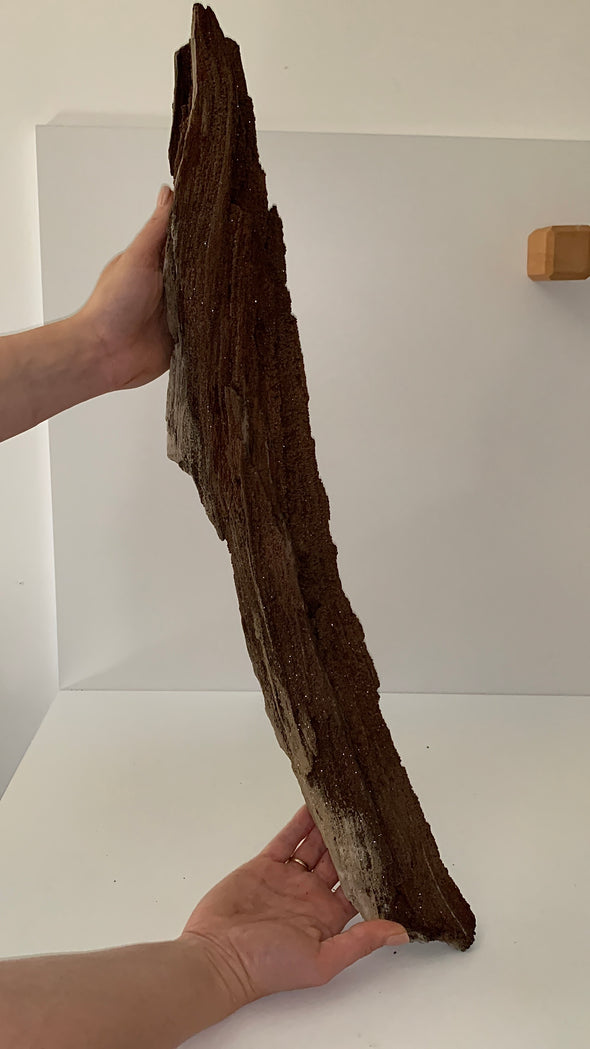 Stunning and Rare Permineralized Fossil Wood with Quartz - 63 cm !! From Germany 🔥🔥