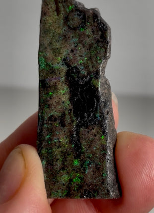 Australian Andamooka Fire Opal PM1146 🌈