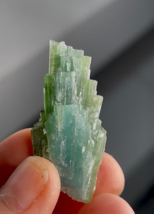 Blue Green Tourmaline Bunch PM1343