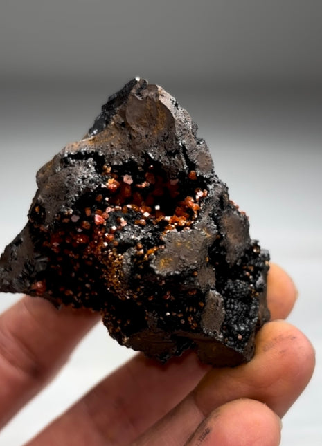 New Arrival ! Black Goethite with Red Vanadinite