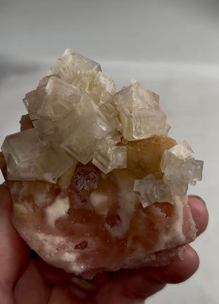 Rare ! Pink Green Bicolor Halite